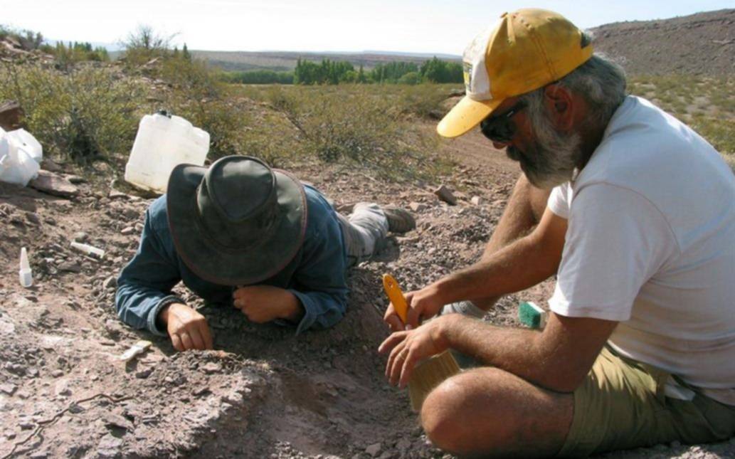 Descubrieron una nueva especie de dinosaurio de 110 millones de años en Neuquén