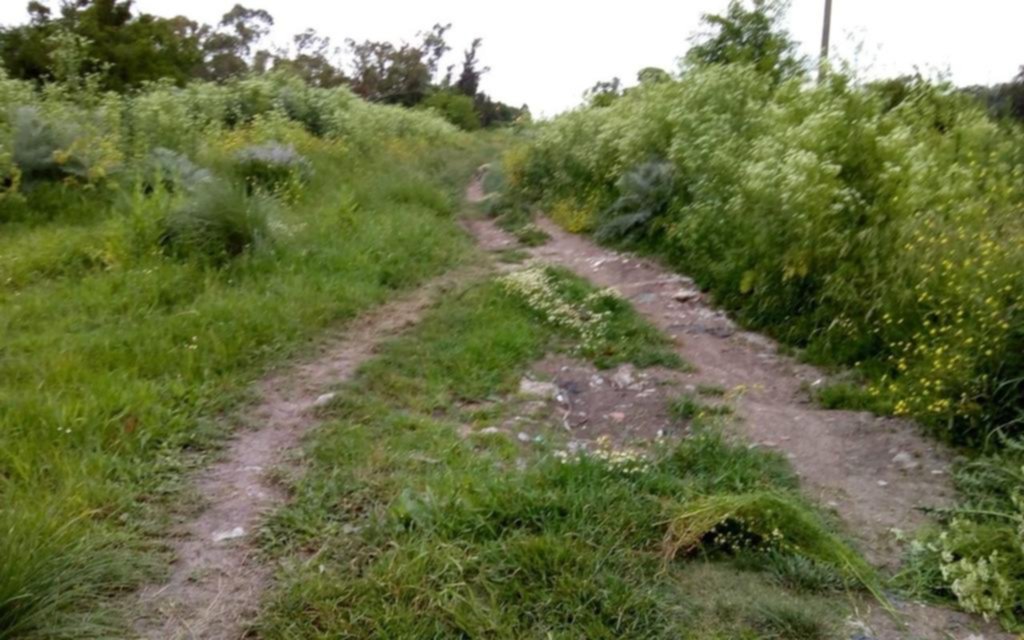 Una calle casi “cerrada por abandono” en 38, 171 y 181