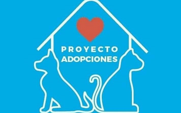 Realizarán mañana una jornada de adopción de mascotas en Plaza Azcuenaga 