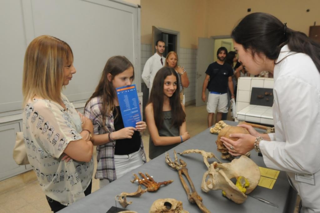 El Museo de Anatomía no exhibirá un tercio de sus piezas y hay polémica en Medicina