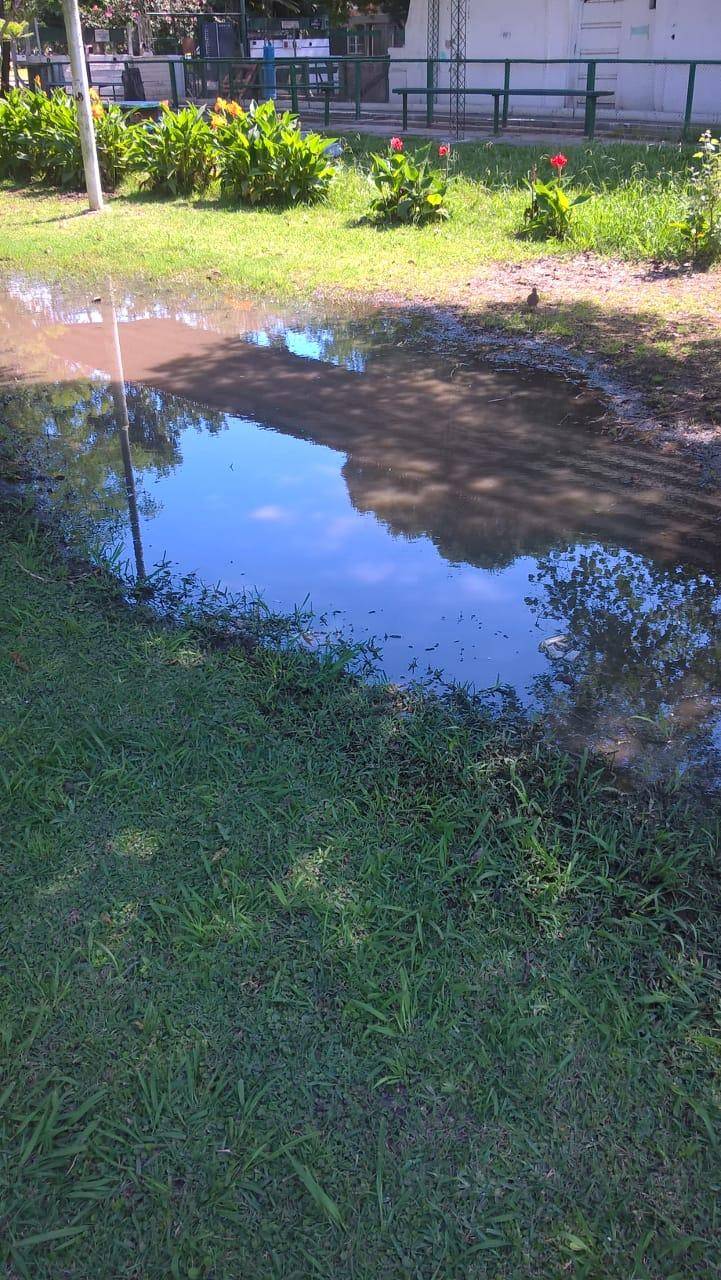 Filtraciones de agua en el Parque San Martín