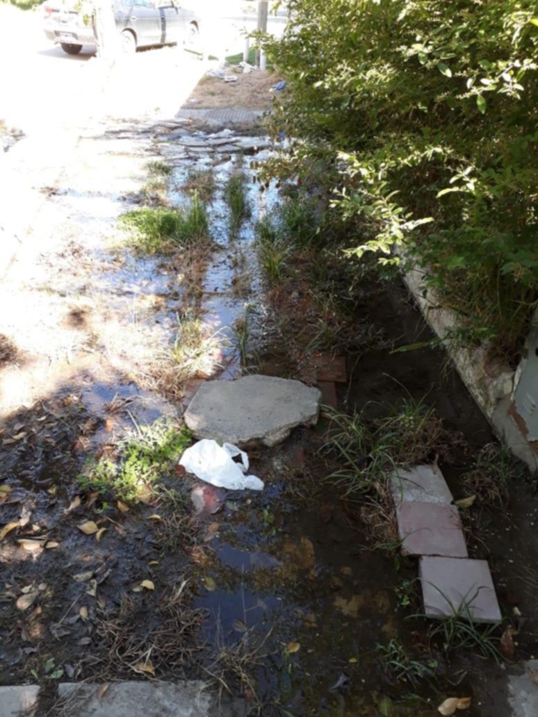 Una pérdida de agua que ya cumplió un mes