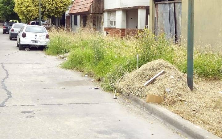 Denuncia por pastizales "a 3  minutos de Plaza Moreno"