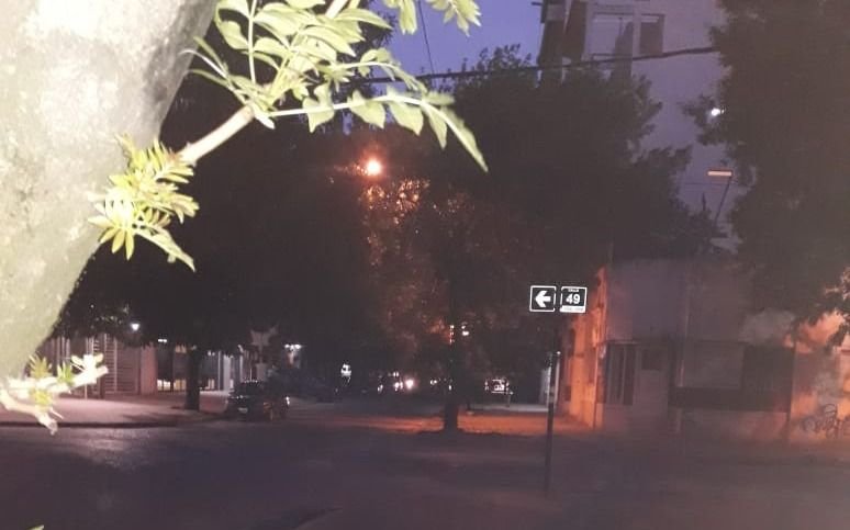 En 18 y 49 exigen poda de árboles por problemas con el alumbrado público
