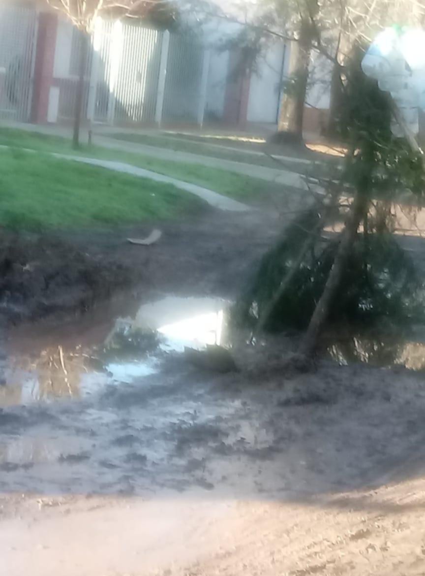 Una calle que pide urgente auxilio en City Bell