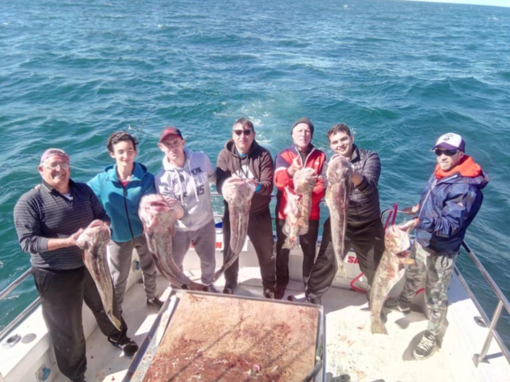 Salmones gigantes en la pesca de altura en Mar del Plata