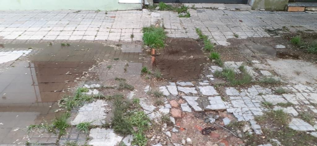 Queja por cañería rota en la calle 45 entre 21 y 22