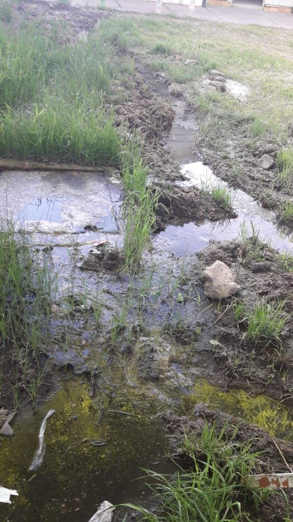 Crece un foco infeccioso en la calle 41 entre 128 y 129