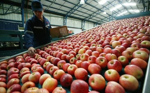 La brecha de precios entre el productor agropecuario y el consumidor bajó 1% en octubre