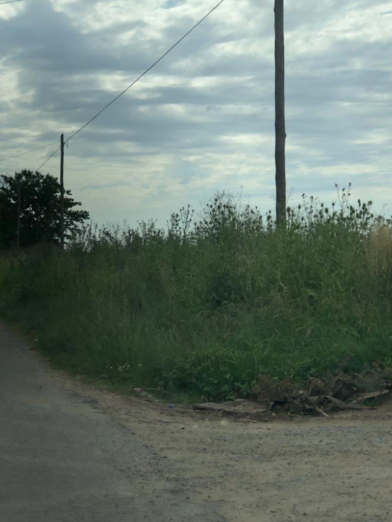 Los vecinos dicen que la Municipalidad olvidó a Gorina