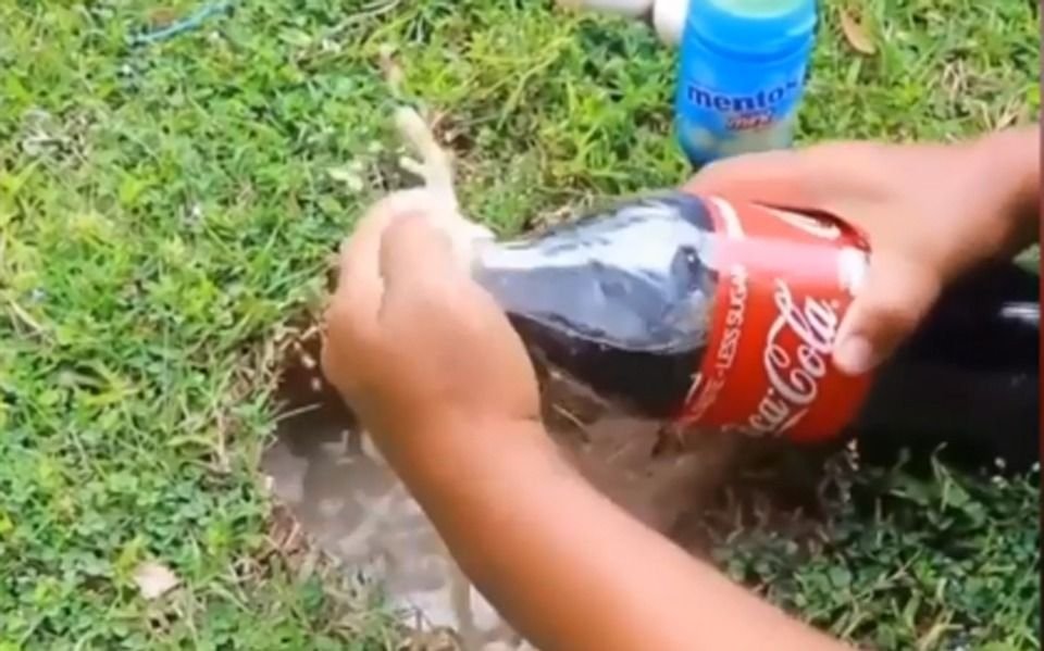 VIDEO.- El insólito método de capturar peces con Coca Cola y pastillas de menta 