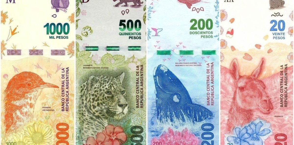 ¿Vuelven los próceres? Alberto Fernández no quiere animalitos en los billetes
