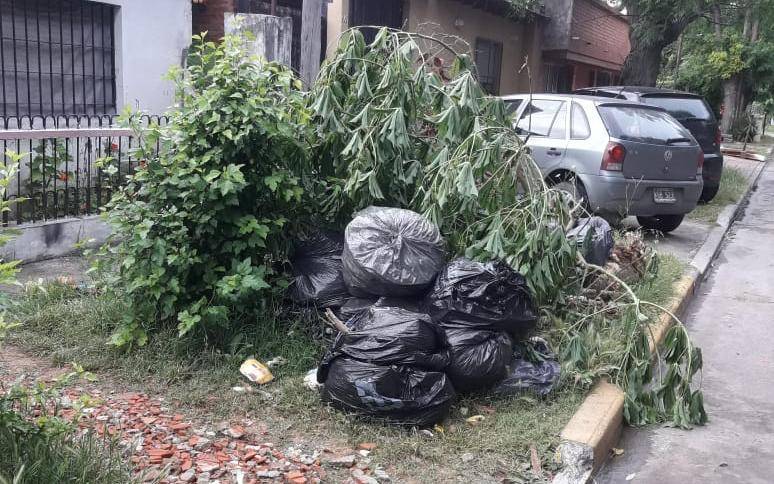 City Bell: un mes esperando que retiren la basura