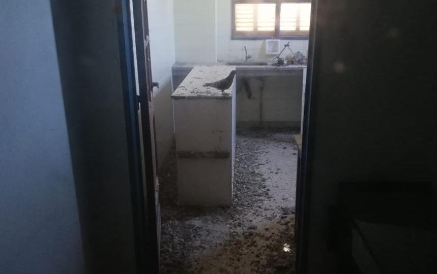 Otra comunidad escolar entró en “alerta sanitario” por ratas y palomas