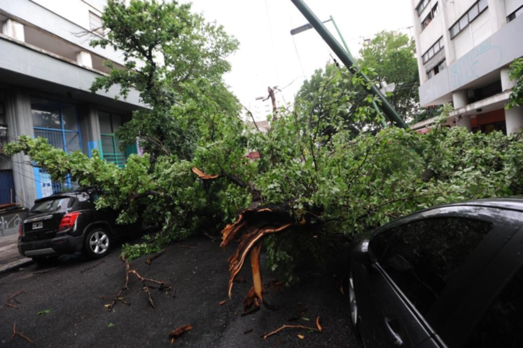 Tras la tormenta, el drama por el servicio eléctrico: largas horas a oscuras y angustia