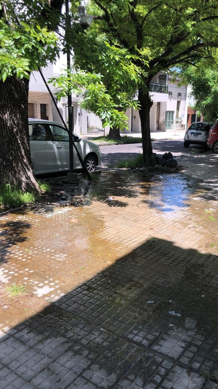 La Plata tiene un circuito de las pérdidas de agua en 59 de 5 a 25