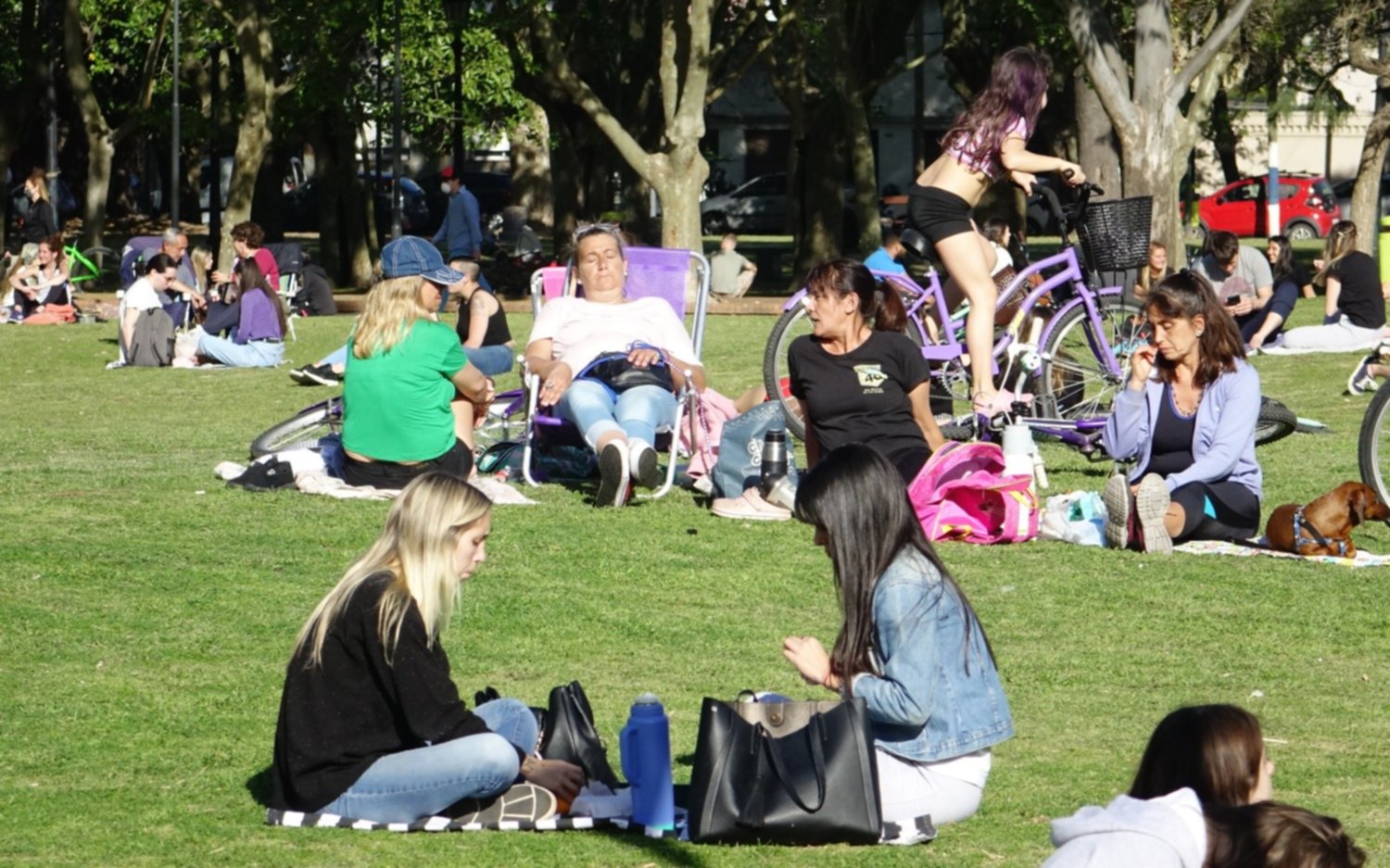 Domingo con sol y temperaturas agradables en la Ciudad