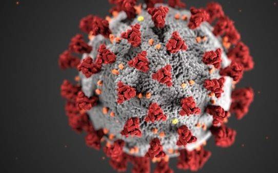 Poco más de 50 nuevos casos de Coronavirus en el Distrito