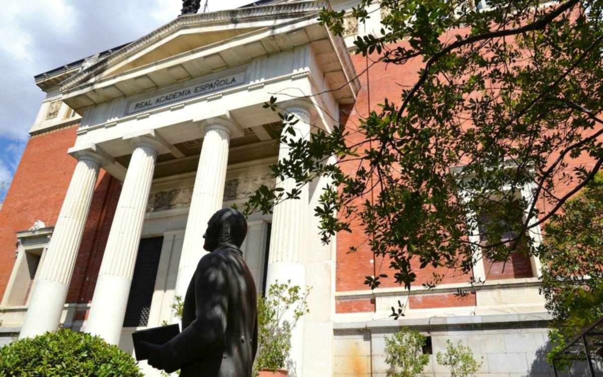 Marcha atrás: la Real Academia Española retiró el pronombre "elle" de su Observatorio de Palabras