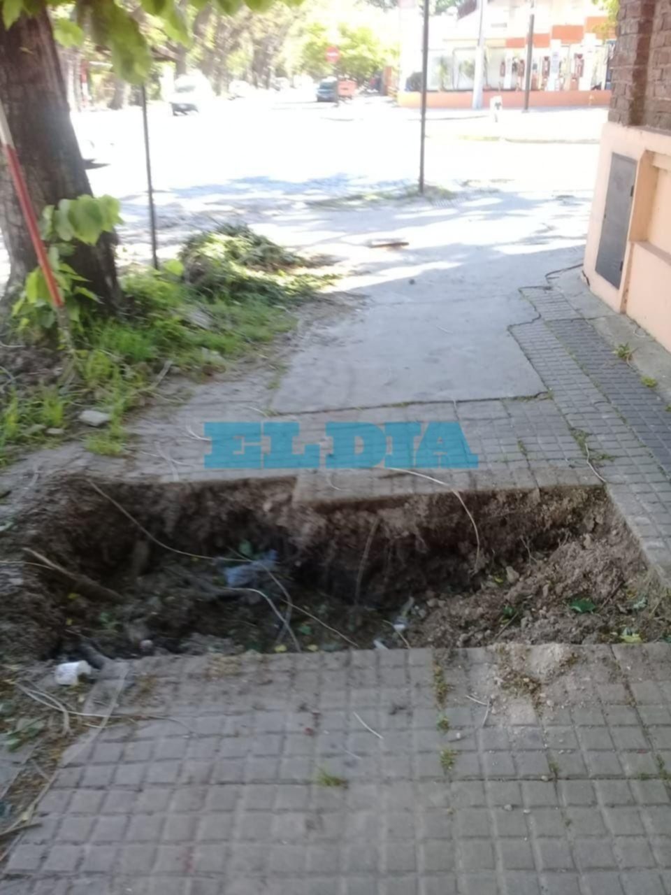 En 71 y 13 un pozo sin tapa desvela a los vecinos: "Es una trampa, es un peligro"