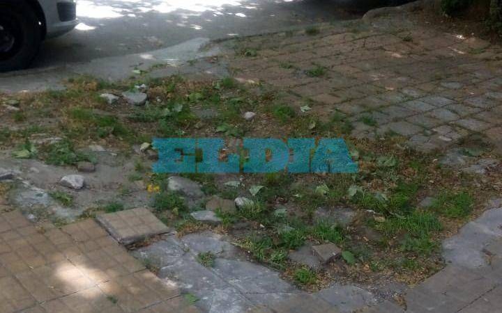 La angustia de una vecina que convive con aguas servidas en su cocina: "Ya no se soporta más"