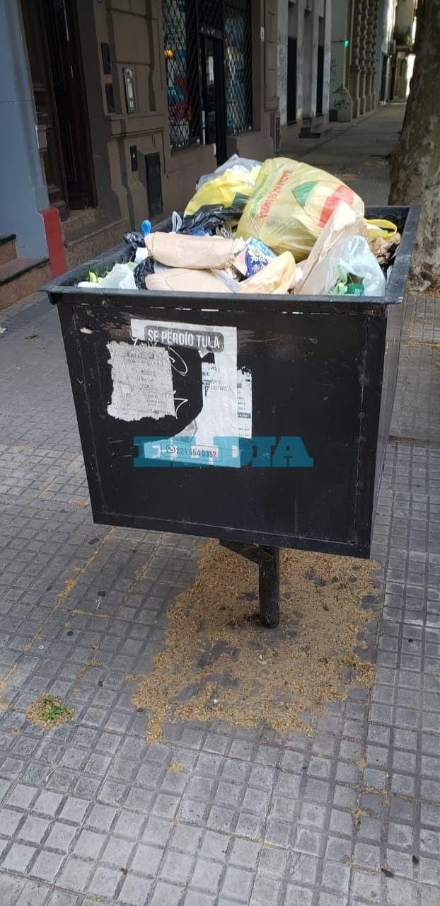 Reclamos por la falta de recolección en un sector del centro platense