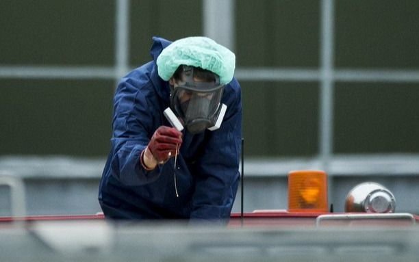 Países Bajos sacrificará más de 200 mil gallinas ponedoras tras detectar casos de gripe aviaria