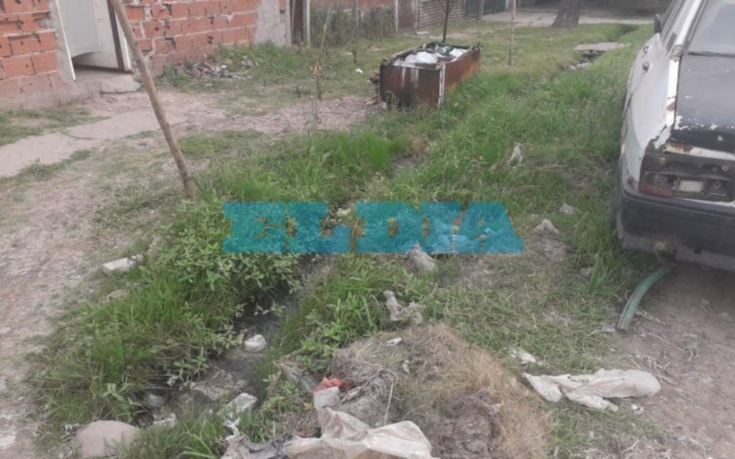 Quejas por el estado de las calles en Villa Elvira: "Estamos abandonados"
