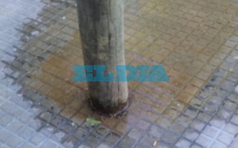 Una pérdida de agua genera trastornos a vecinos de un sector de Barrio Hipódromo