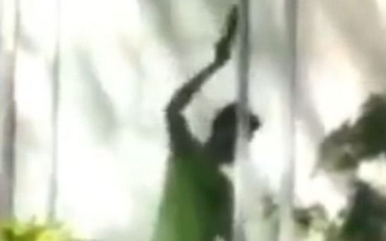 Para el gemelo del agresor de las bailarinas influyó "el efecto de la cuarentena"