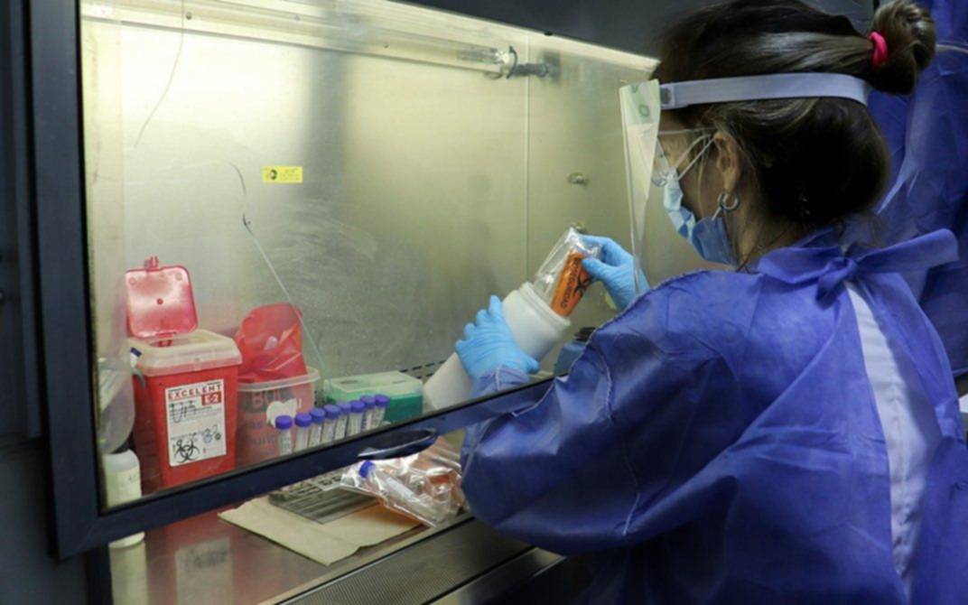 Coronavirus en Argentina: se reportaron 10.880 casos en el día y 348 nuevas muertes