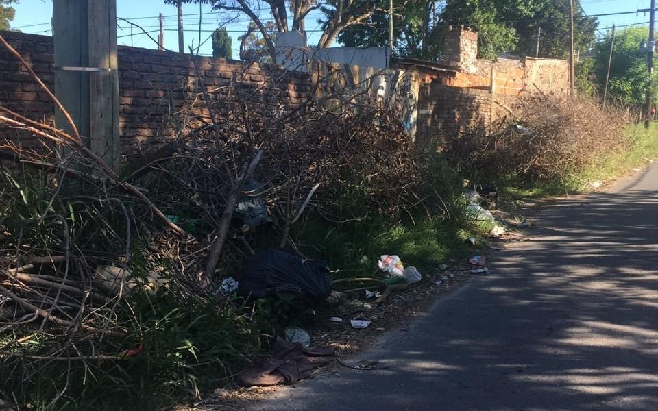 Denuncian que hace más de un mes que no recolectan ramas y hojas en un sector de Villa Elisa