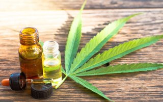 Cannabis medicinal legal: "Se terminó el miedo a que nos allanen"