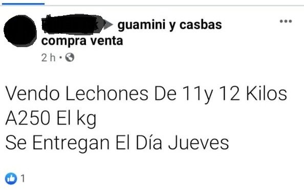 Los usurpadores del tambo de Guaminí siguen vendiendo animales por Facebook