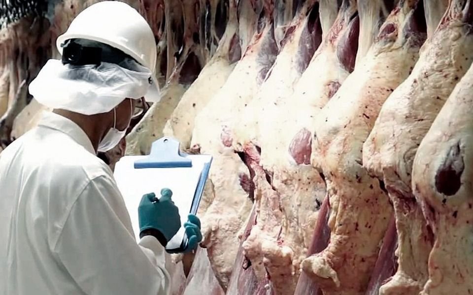 China encontró coronavirus en un cargamento de carne vacuna argentina