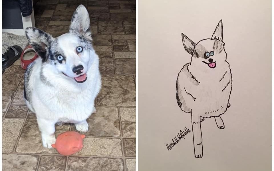 Recaudó miles de dólares gracias a sus retratos de mascotas