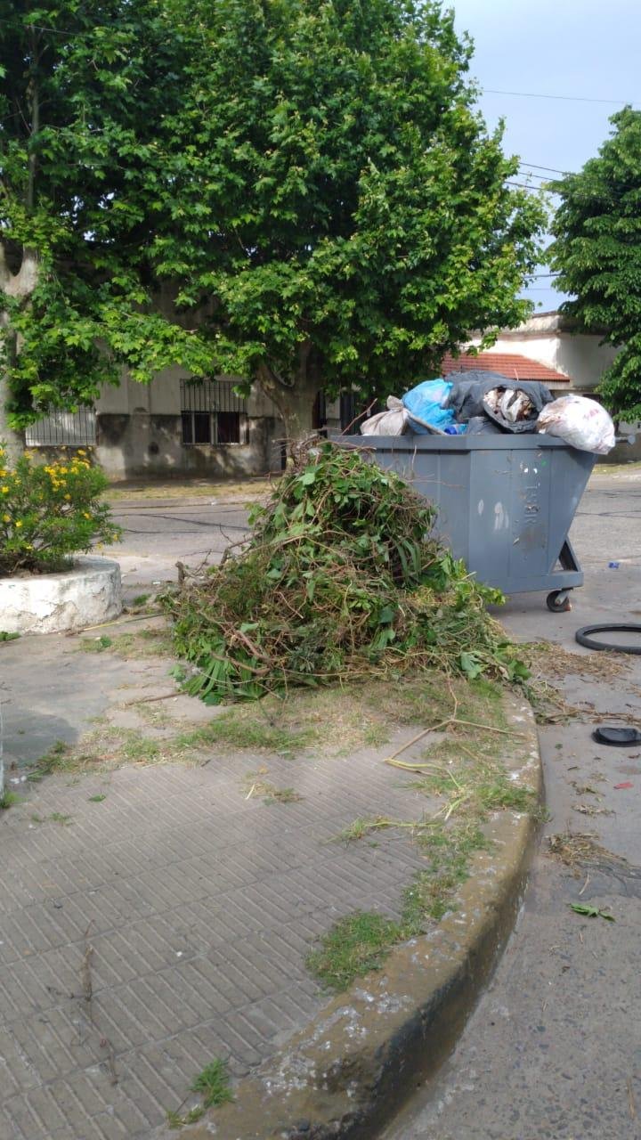 Tolosa: advierten que se acumula basura en las calles