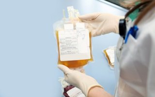 Destacan la eficacia del plasma para tratar a adultos mayores con COVID