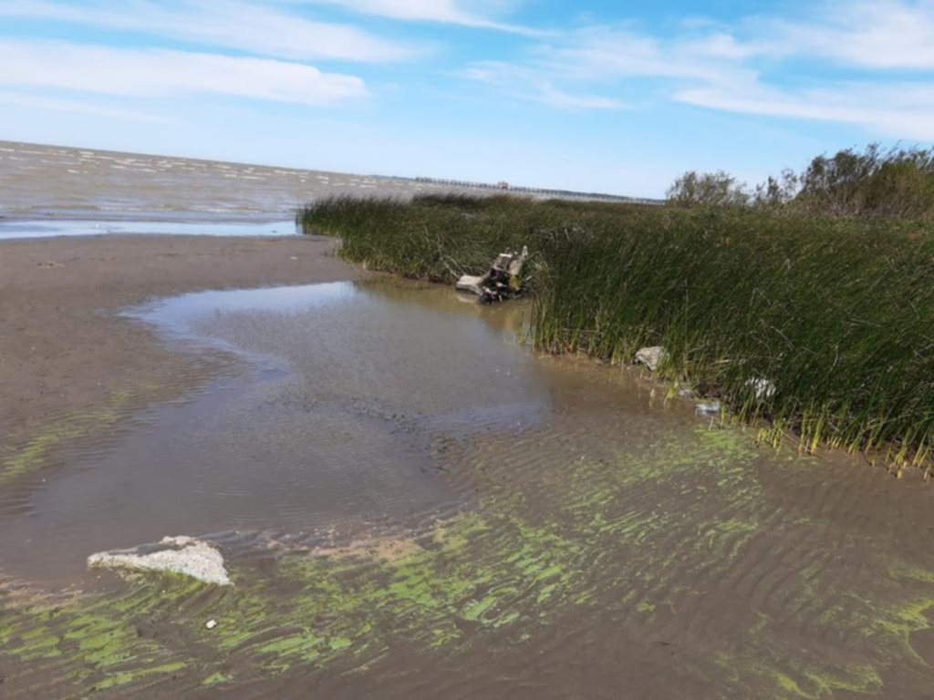 Agua verde: las cianobacterias llegaron a la Región y aconsejan no permanecer en la playa