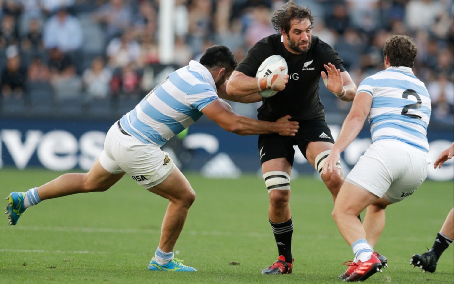 El aporte platense: La Plata R.C. y San Luis estuvieron representados en el histórico triunfo de Los Pumas