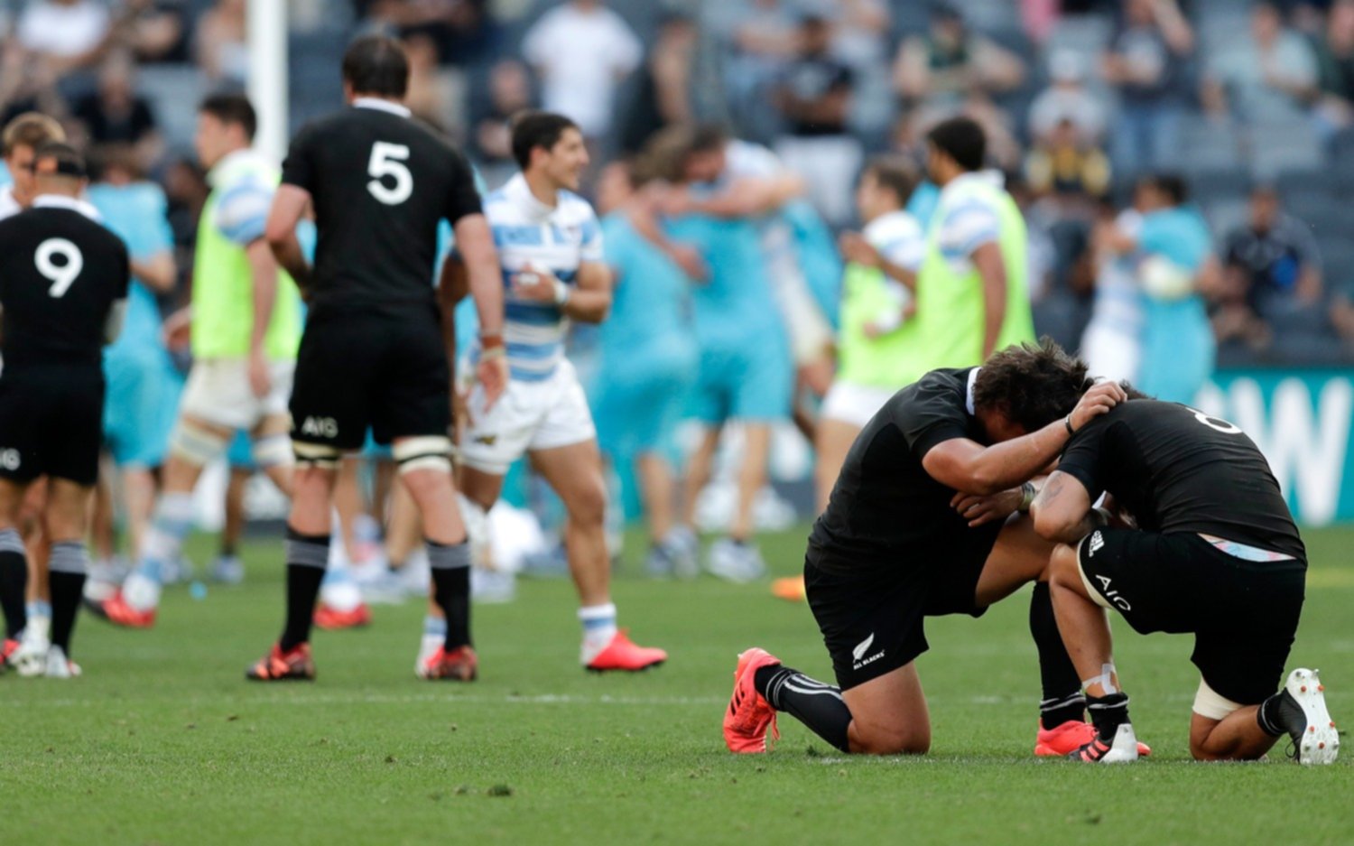 "Esta es tu noche Argentina": el mensaje de los All Blacks para Los Pumas