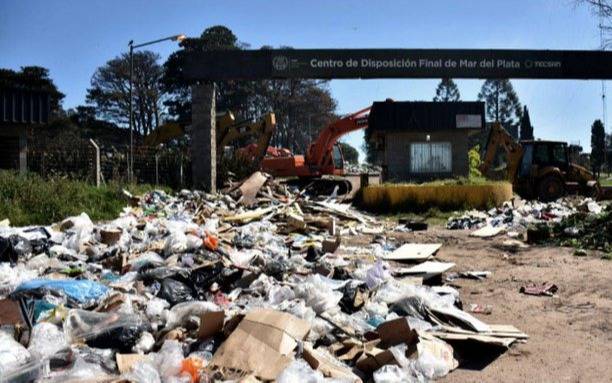 Mar del Plata: Hallan el cadáver de un bebé en un basural e investigan si fue usado en un ritual