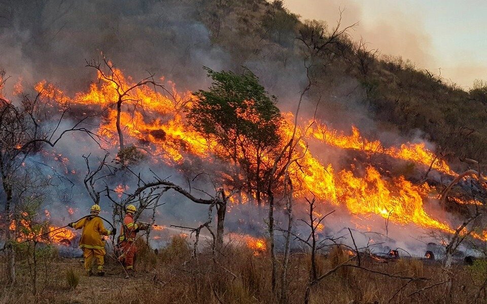 El oficialismo buscará aprobar una reforma de ley para evitar la venta de tierras incendiadas