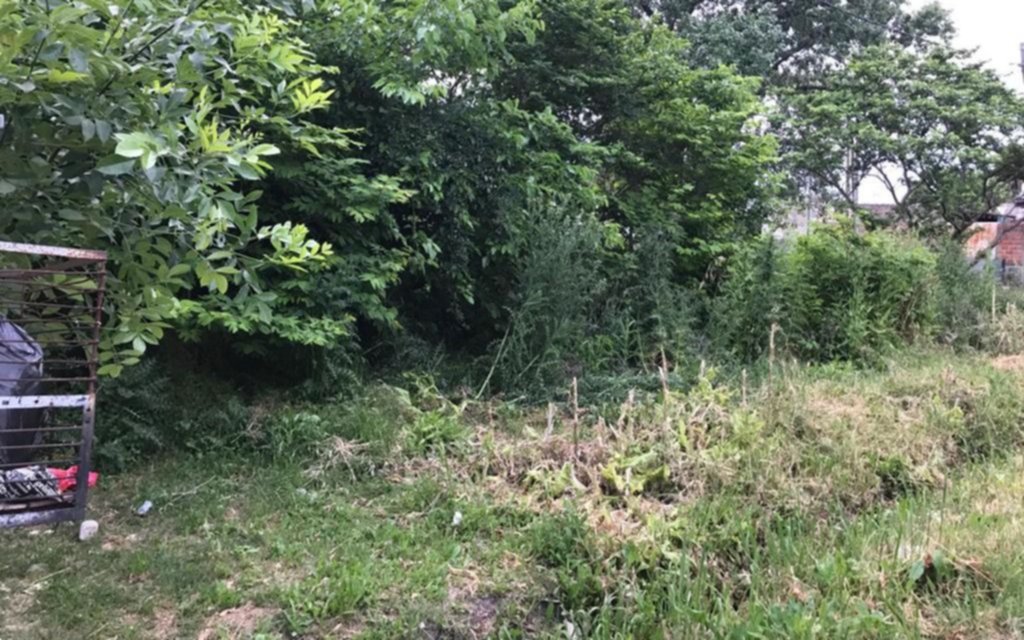 Un terreno "en estado de abandono" preocupa a vecinos de 136 y 33