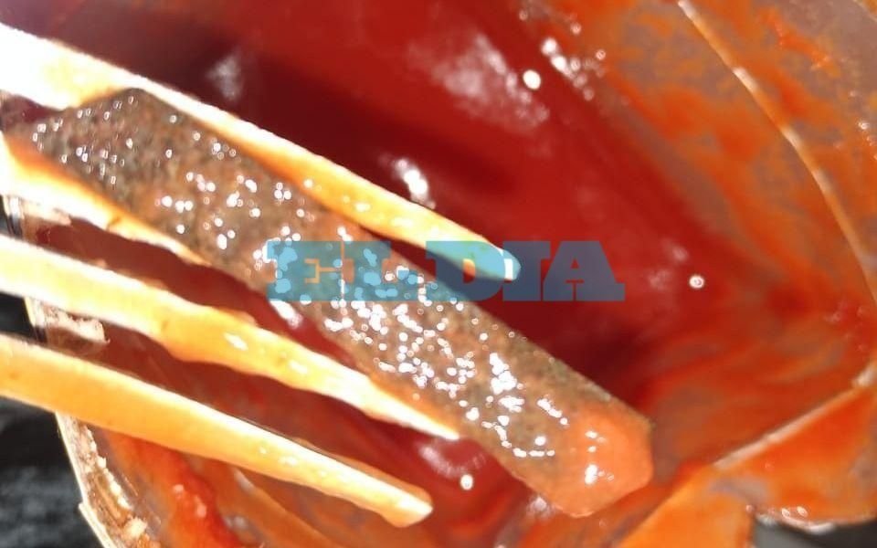 La Plata: el guiso estaba ácido y encontraron una hoja de trincheta en el puré de tomate