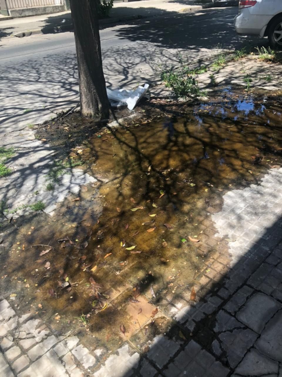 Hace un año tienen una pérdida de agua en 57, 19 y 20: "Hay riesgo de caídas"
