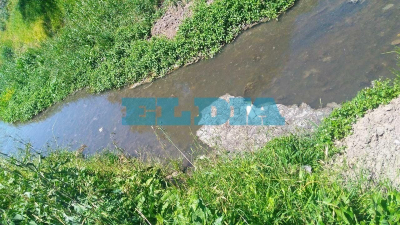 Quejas por el estancamiento del agua en el arroyo Maldonado por basura y ramas 