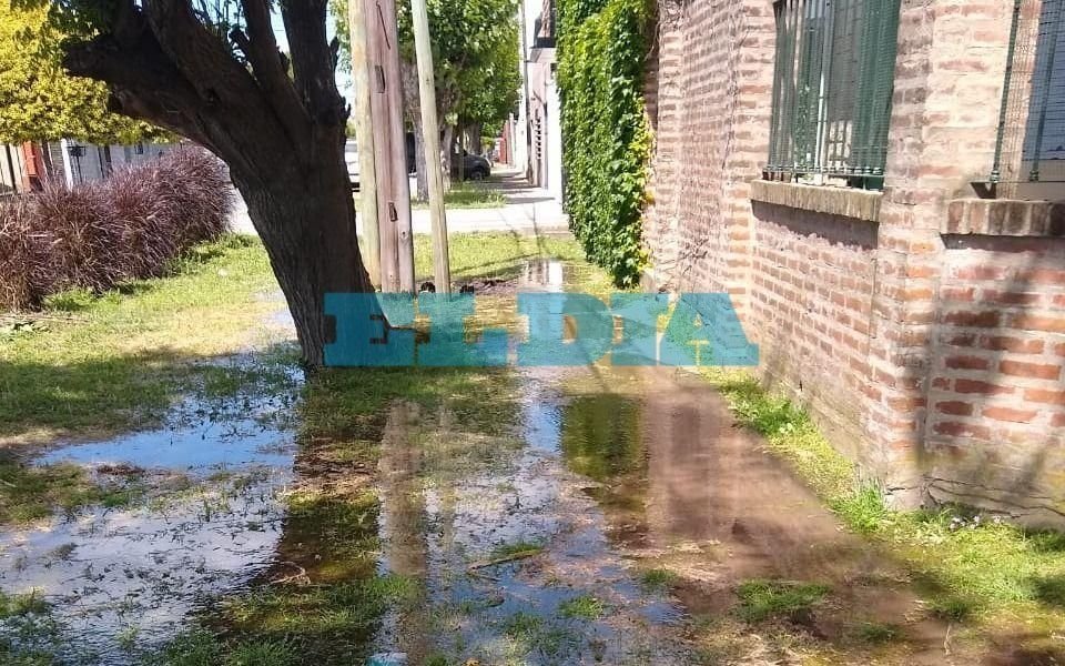 Denuncian que instalaban un poste, vieron brotar agua y "salieron pisteando como campeones"