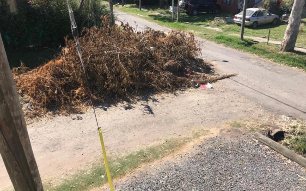 Advierten por montaña de ramas y basura en 471 y 135