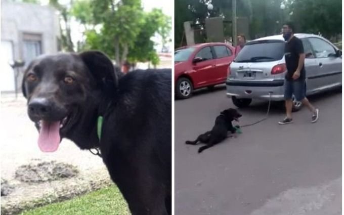 VIDEO: Imputan a una mujer que encadenó a su perro al auto y lo arrastró por varias cuadras